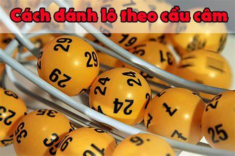 Kinh nghiệm chơi dựa theo lô câm