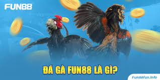 Tìm hiểu sơ lược về sảnh đá gà Fun88