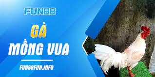 Tham gia chọn gà và đặt cược vào những nhận đấu gà kịch tính