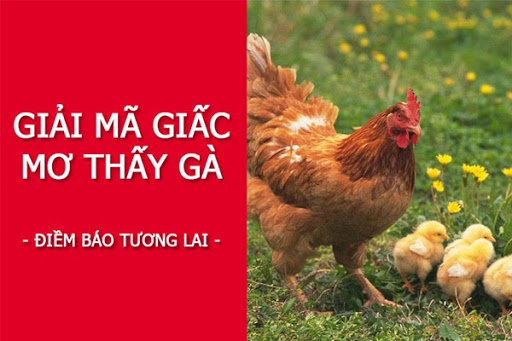 Giấc mộng thấy gà chọi