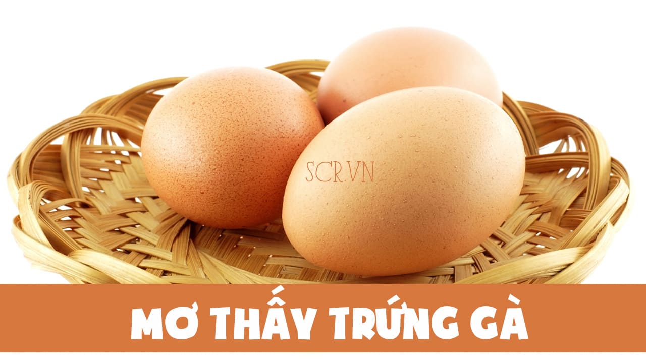 Luận giải điềm báo mơ thấy trứng gà